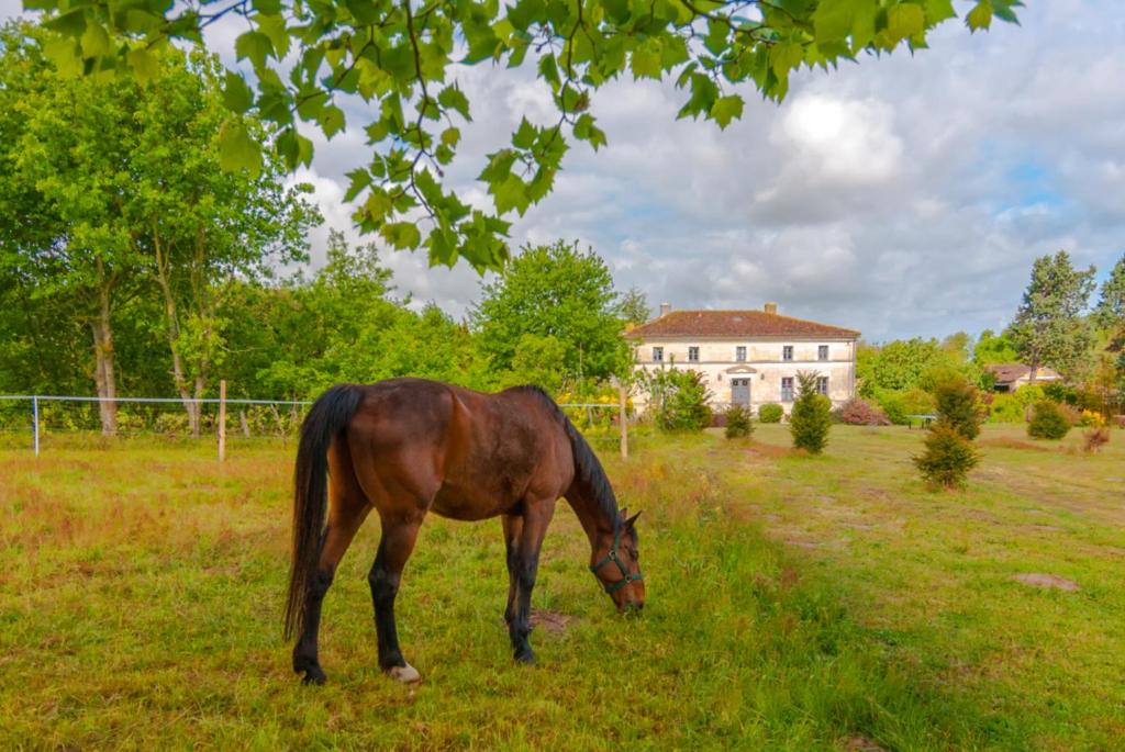 a horse grazing in a field in front of a house at Domaine TerrOcéane in La-Gripperie-Saint-Symphorien