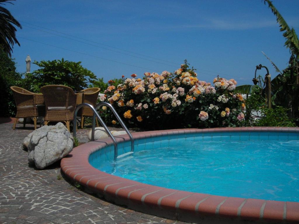 Bazén v ubytování Hotel Gallo Nero nebo v jeho okolí
