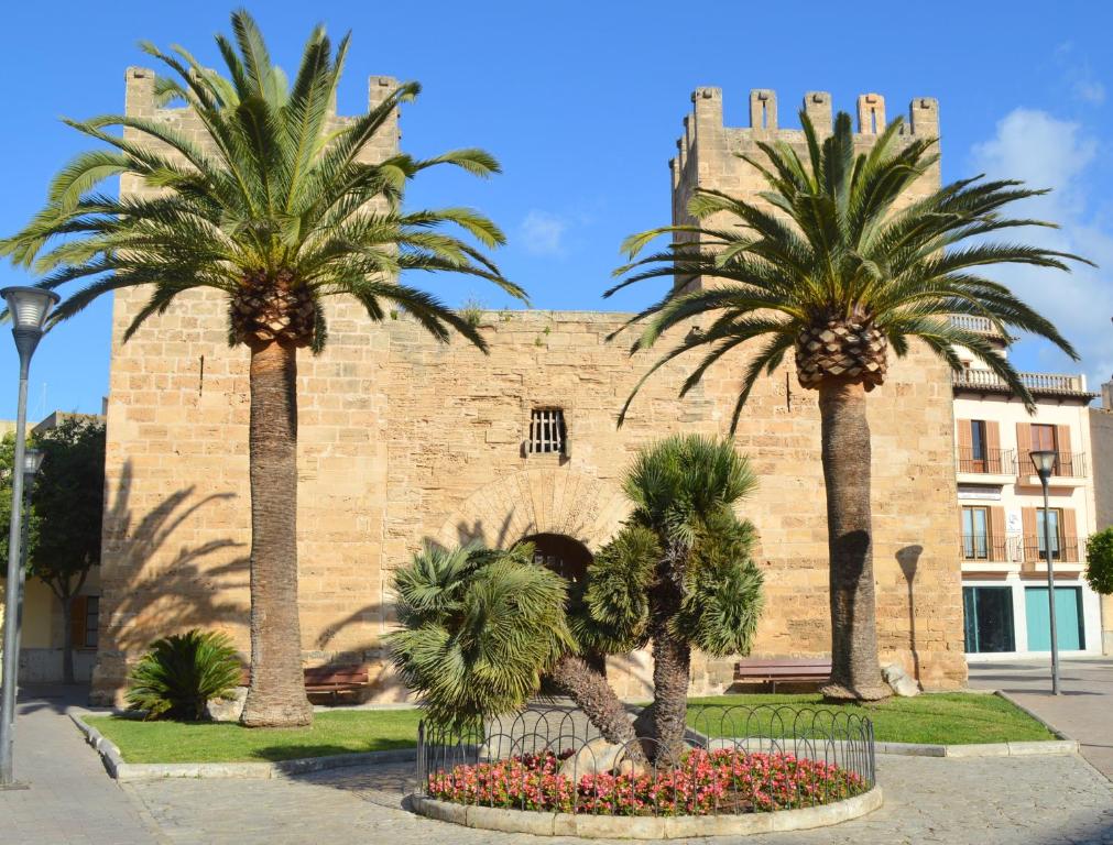 two palm trees in front of a building at Hostal Brisa Marina in Port d'Alcudia