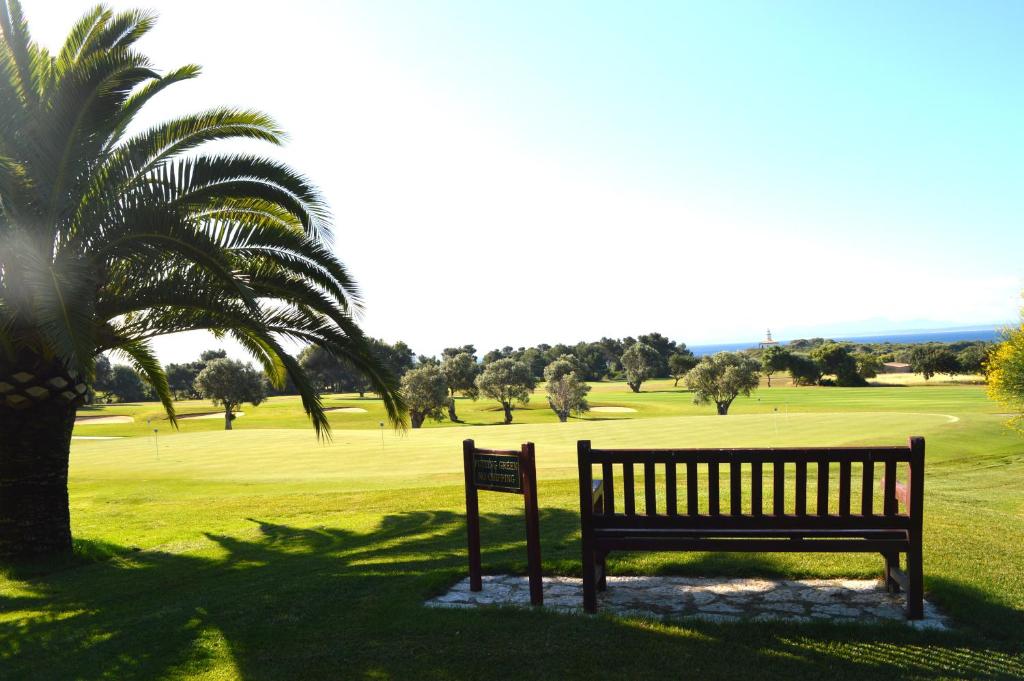 a park bench next to a palm tree and a golf course at Hostal Brisa Marina in Port d'Alcudia