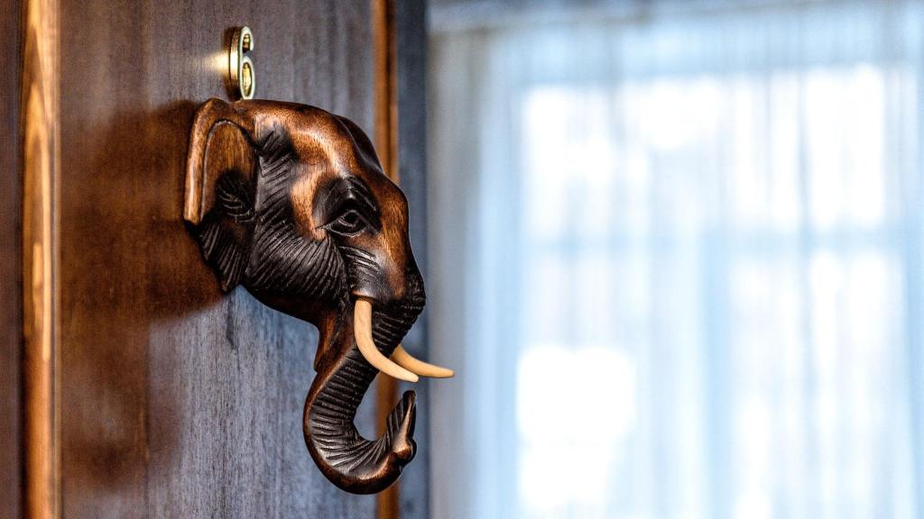 an elephant head hanging on a wooden door at Hotel Azia in Perm