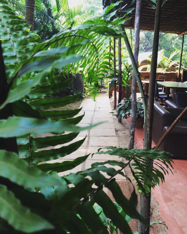 Zahrada ubytování Namaste Jungle - A Boutique Homestay