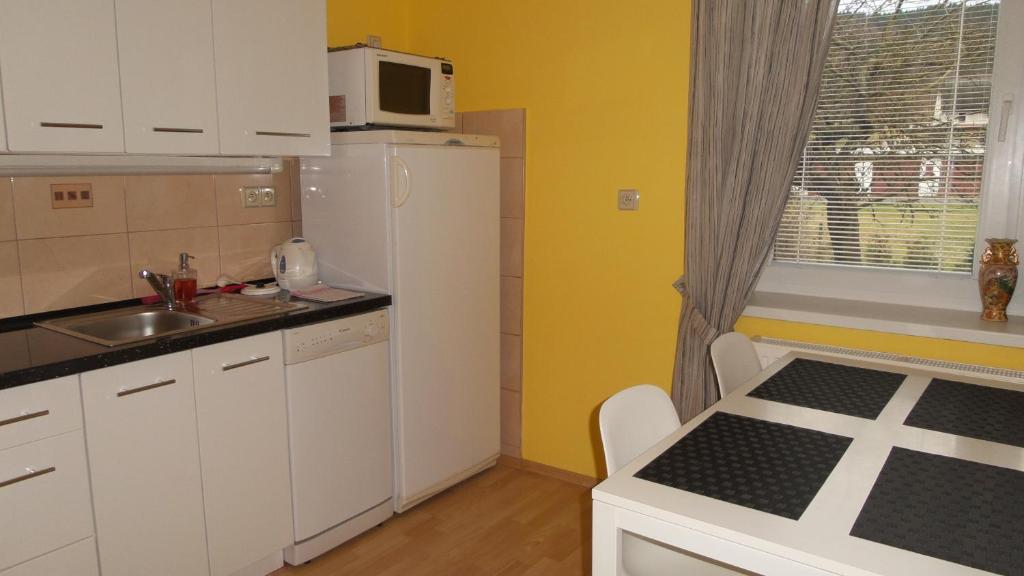 W kuchni znajduje się biała lodówka i kuchenka mikrofalowa. w obiekcie Apartment Věra w mieście Lipova Lazne