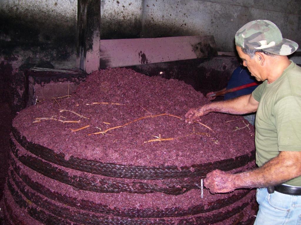 Hostia v ubytovaní Etna Wine Azienda Agrituristica