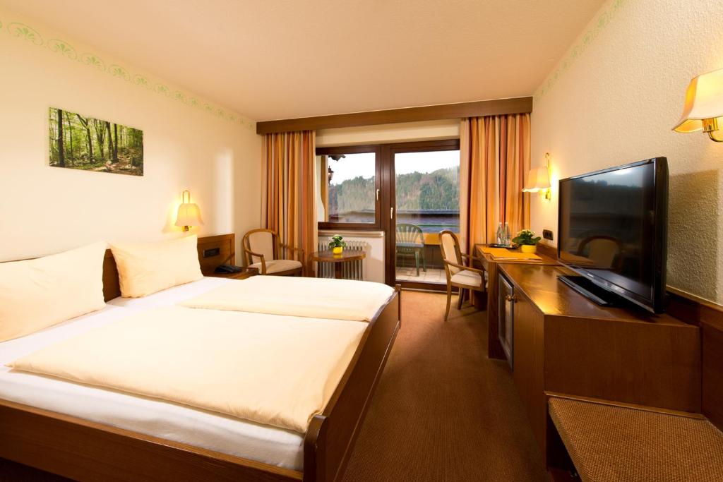 Silberkönig Schwarzwald Hotel & Restaurant Ringhotel - Habitación Individual Económica