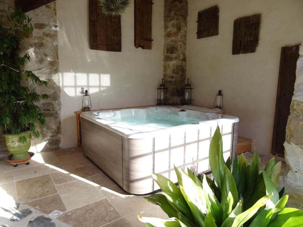 een hot tub in een kamer met planten bij Le Mas du Galibot Gîte Barulaïre in Saint-Florent-sur-Auzonnet