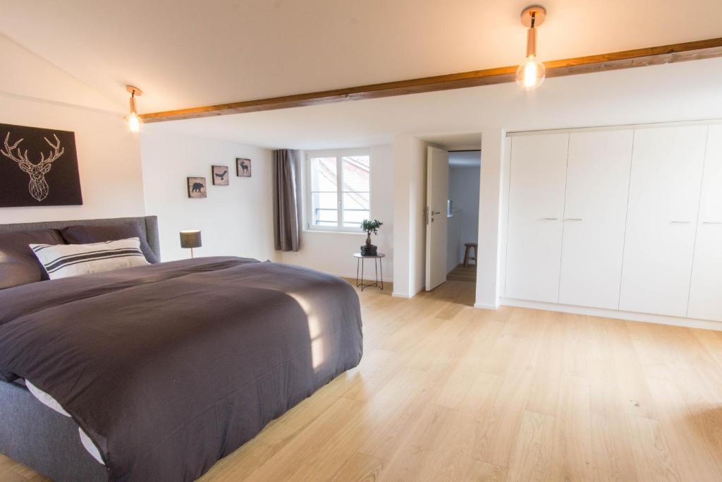 KoBi Apartments Hirschenplatz - Resim 35