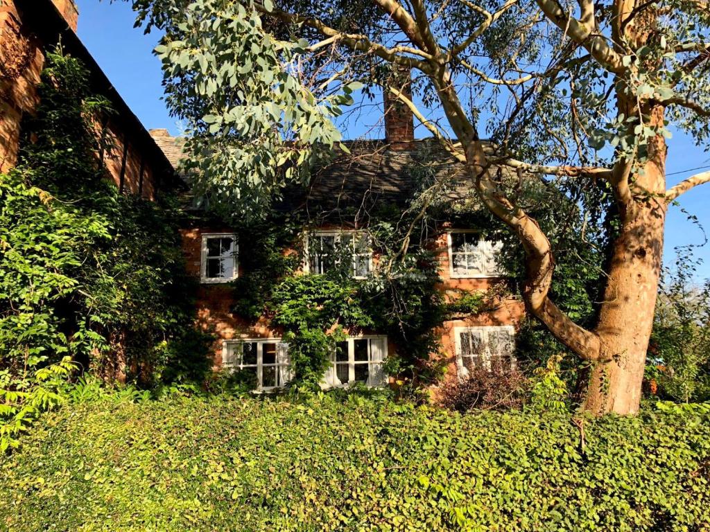 een oud stenen huis met klimop erop bij The Old Dower House in Whitchurch