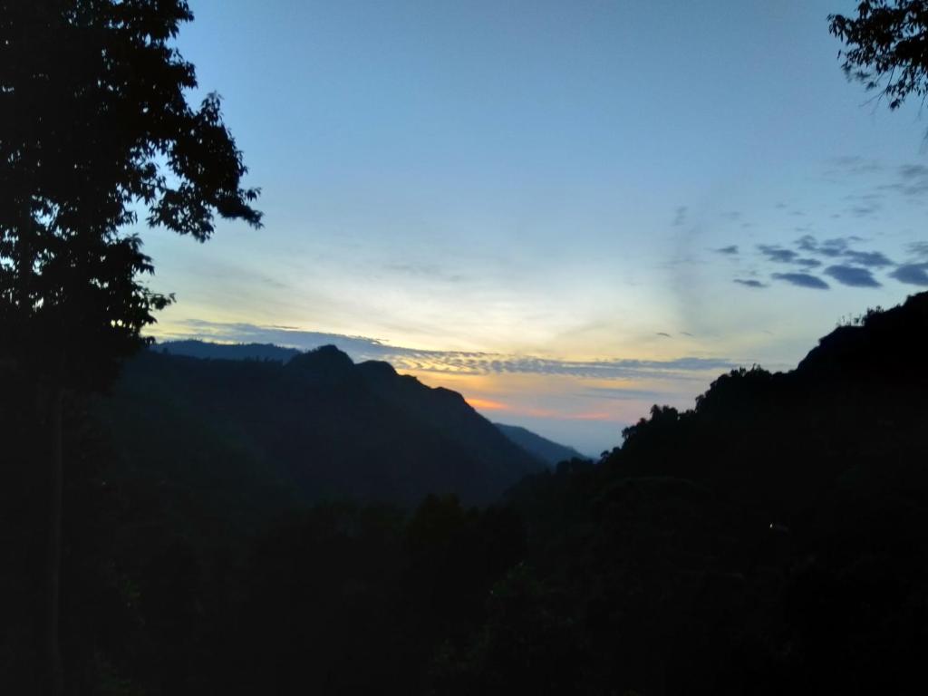 Ever Green Mount - 12