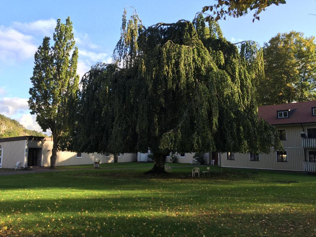 Zahrada ubytování Åtorps herrgård