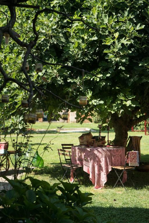 a picnic table under a tree in a park at Glamping Canonici di San Marco in Mirano