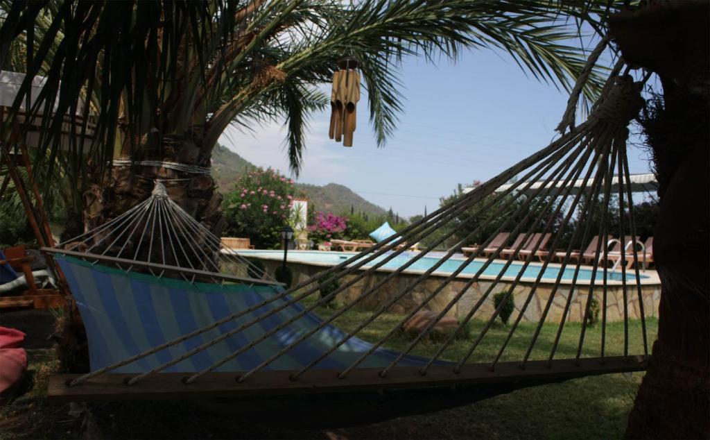 a hammock hanging from a palm tree next to a pool at Papirus Hotel in Adrasan