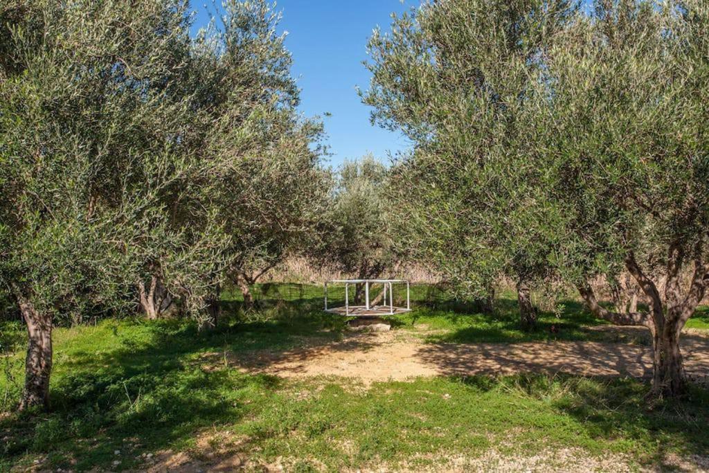 Ogród w obiekcie Olive Tree Farm 200m from the beach