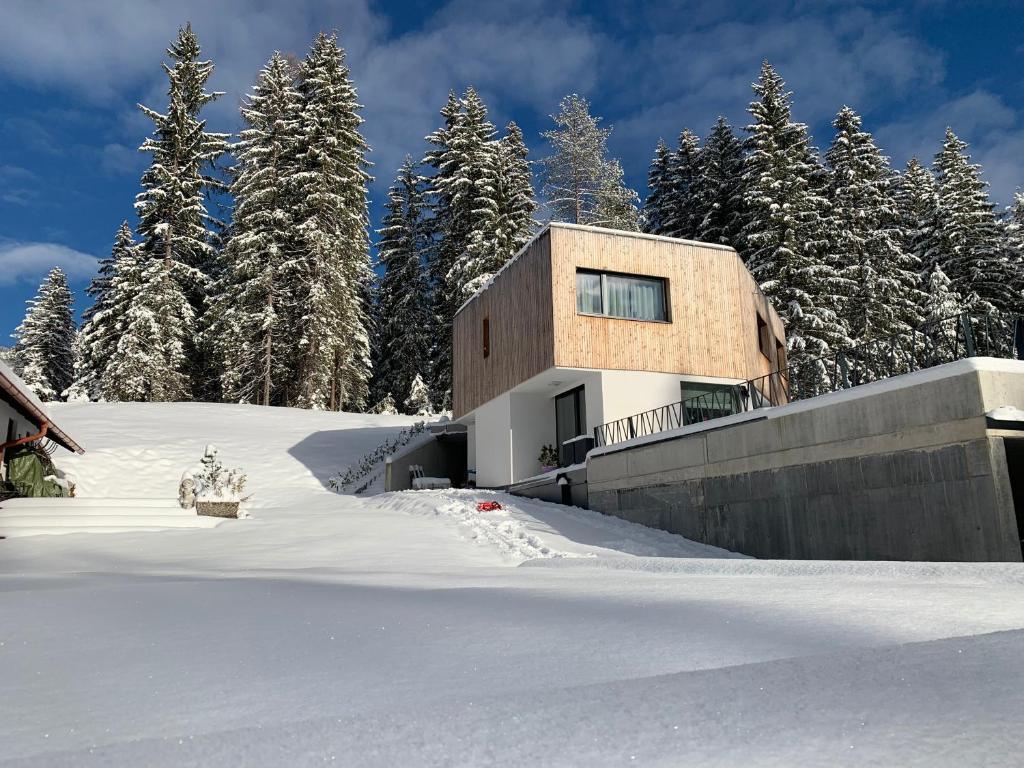 una casa nella neve davanti agli alberi di Am Waldrand Weidach a Leutasch