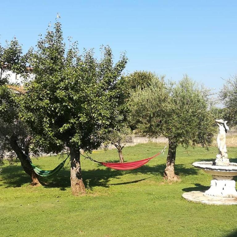 Zahrada ubytování Agriturismo La Palazza