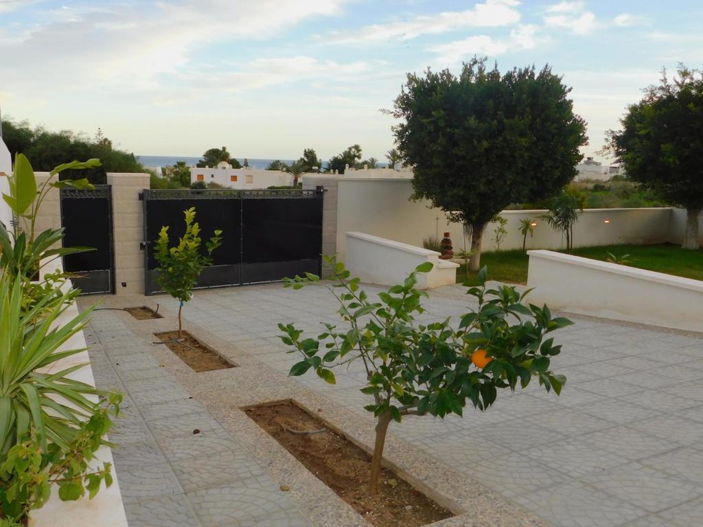 Zahrada ubytování Maison Al Riad