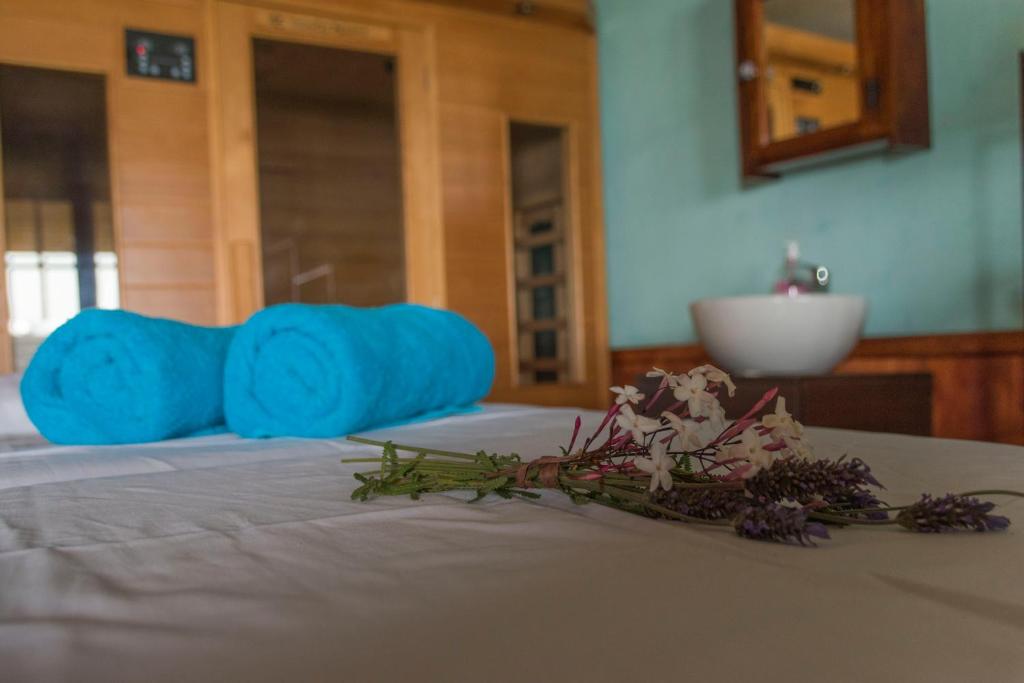 Postel nebo postele na pokoji v ubytování Cinque Colori Bed & Breakfast- Spa