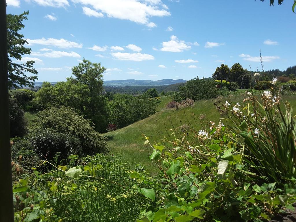 Geyser Lookout BnB - Resim 11