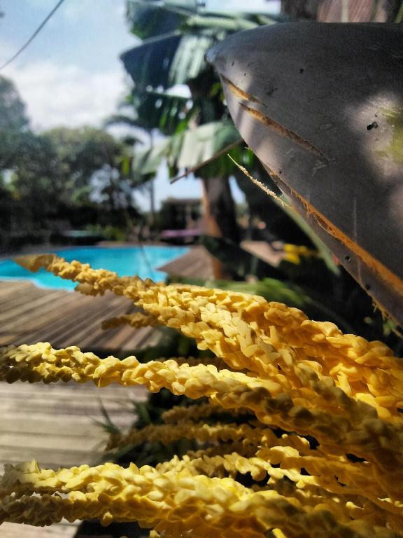  Villa Josefa - Chalé completo piscina e churrasqueira só para você!