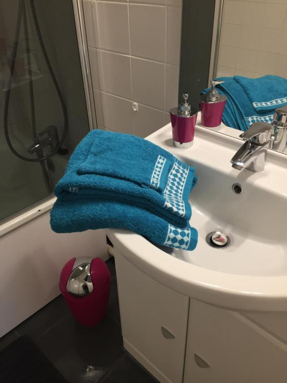 a bathroom with a blue towel sitting on a sink at Appartement Le Grand Parc in Châteauroux