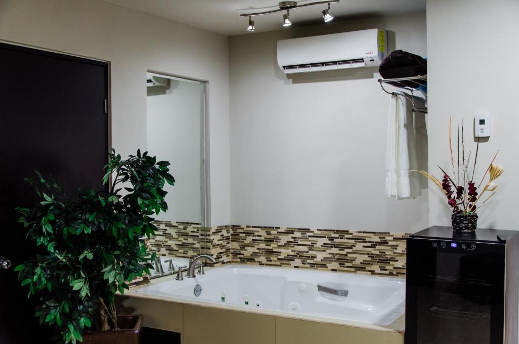 Fotografie z fotogalerie ubytování Hotel Velario v destinaci Tijuana