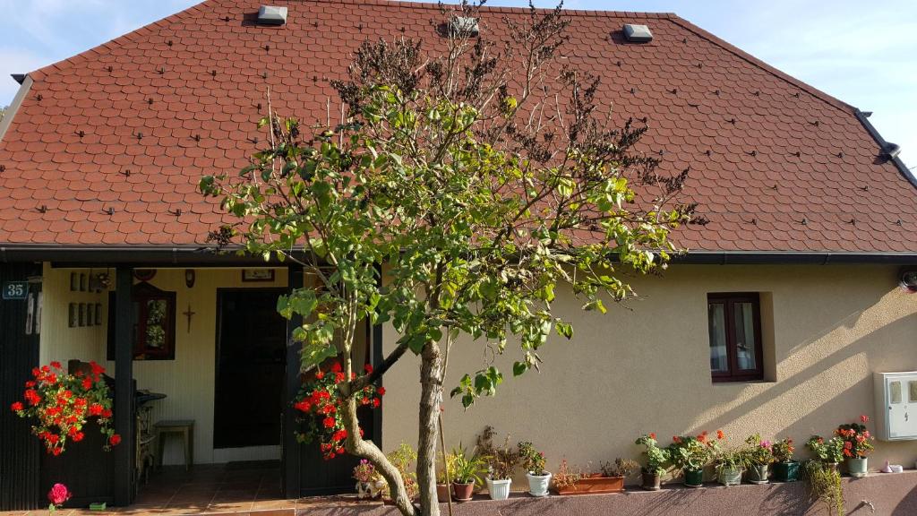 ein Haus mit einem Baum davor in der Unterkunft Kuća za odmor Bajtica in Jesenovec