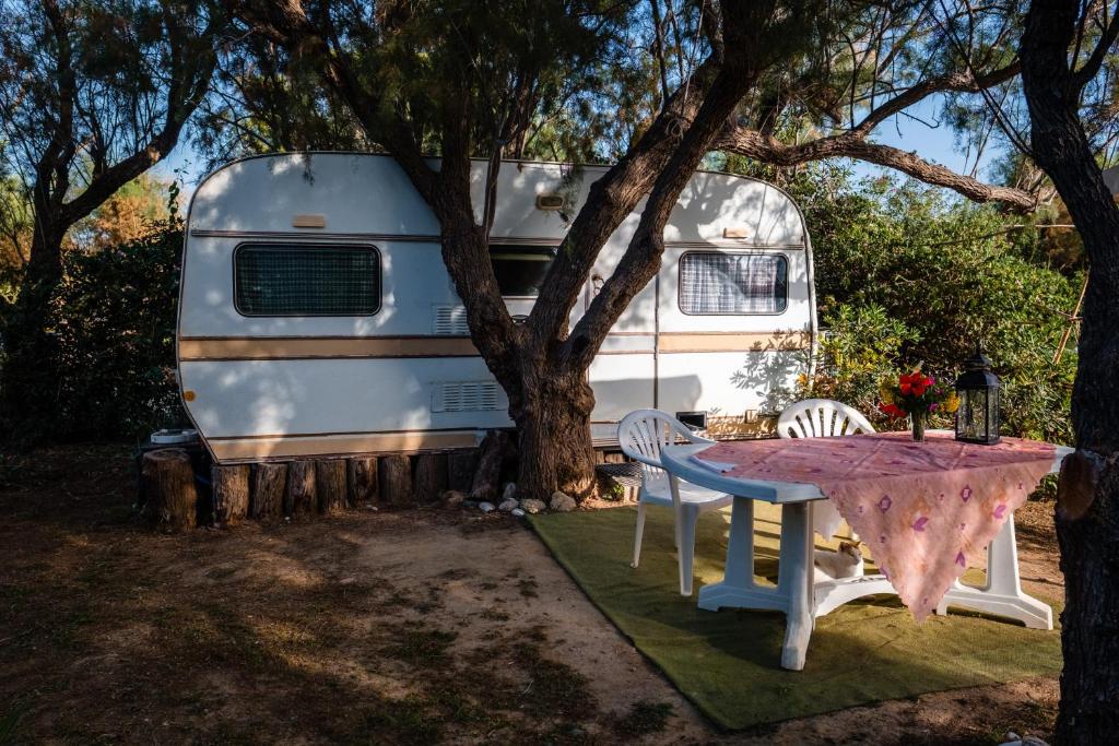 Zahrada ubytování Camping Elizabeth