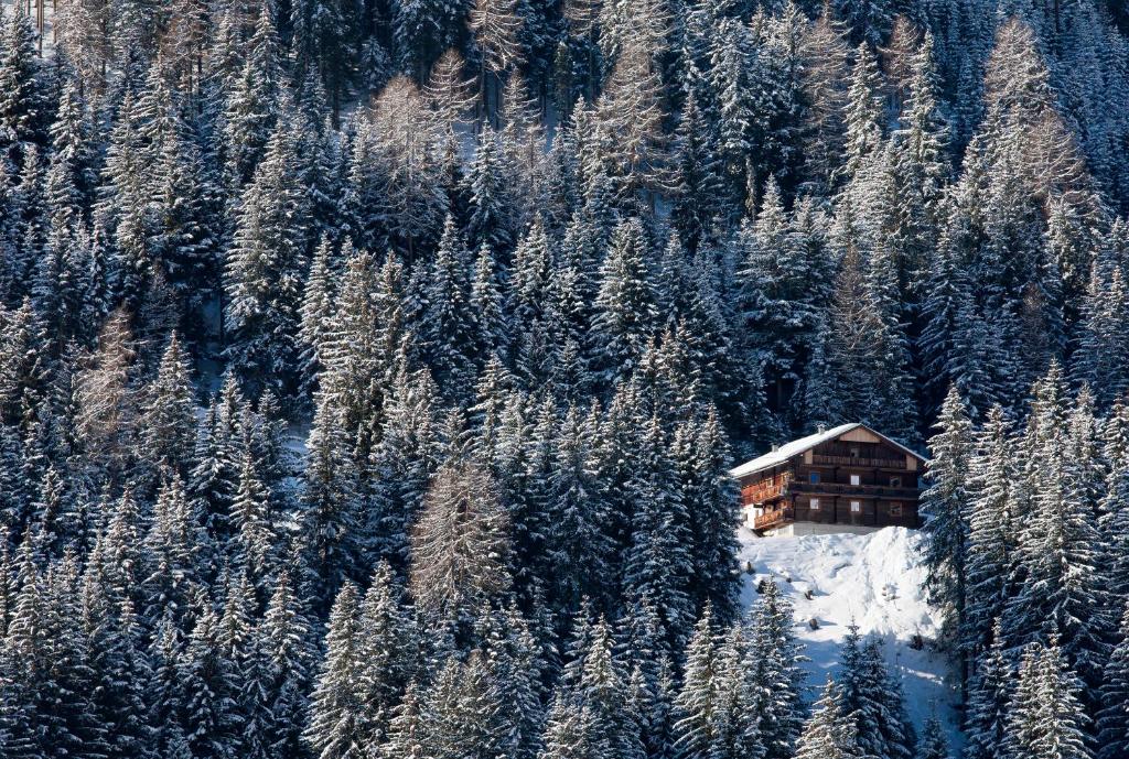 Ferienpension Senfter during the winter