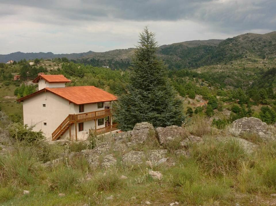 una casa al lado de una colina con un árbol en La Ponderosa Cumbrecita en La Cumbrecita