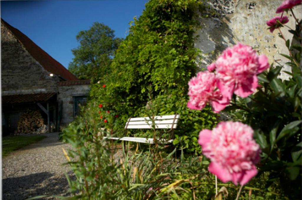 Zahrada ubytování Château De Cocove