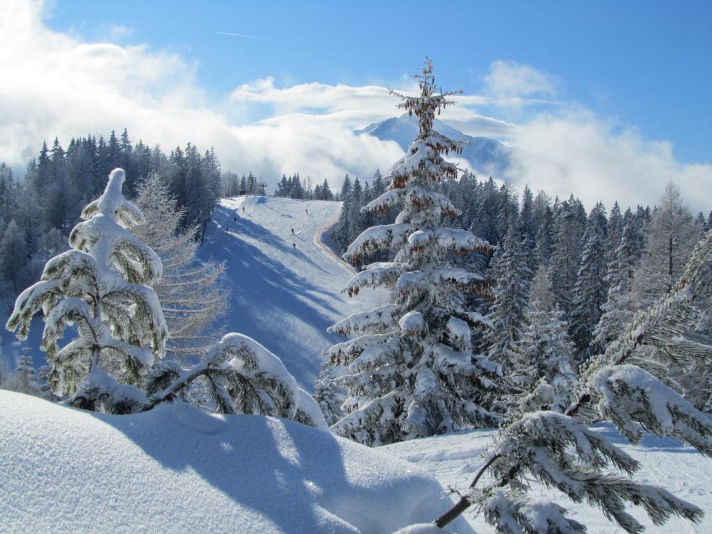 Hotel Helga durante l'inverno