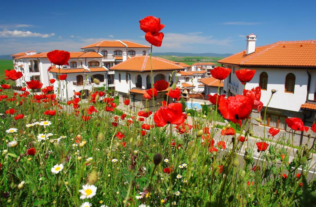The Vineyards Boutique Hotel & SPA
