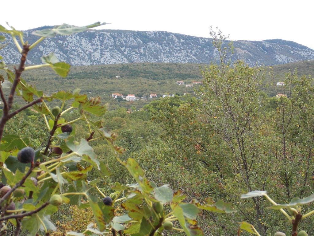 Příroda nedaleko apartmánu