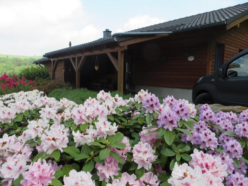 RiedenにあるFerienhaus Anneの家の前のピンクの花束