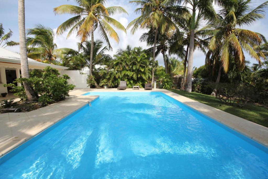 a large blue swimming pool with palm trees in the background at Villa Les Palmiers in Saint-François