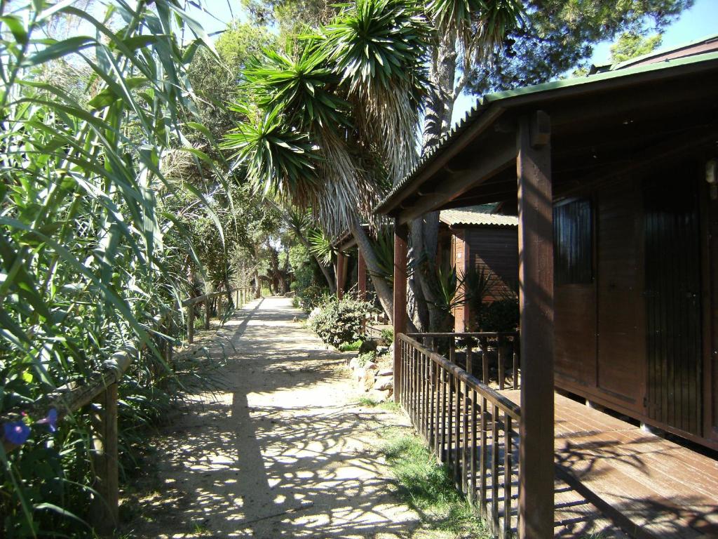 a path next to a house with palm trees at Bungalows Club Aire Libre in Tossa de Mar