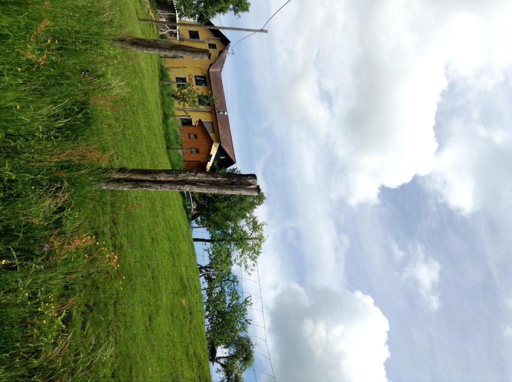Fotografia z galérie ubytovania Gasthof-Pension Silvia v destinácii Haibach ob der Donau