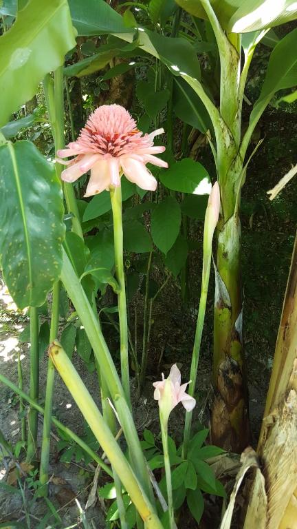  Pousada Bucaneiros