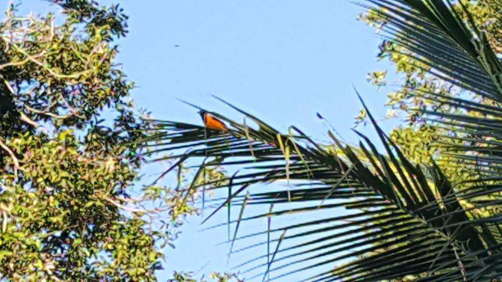  Pousada Bucaneiros