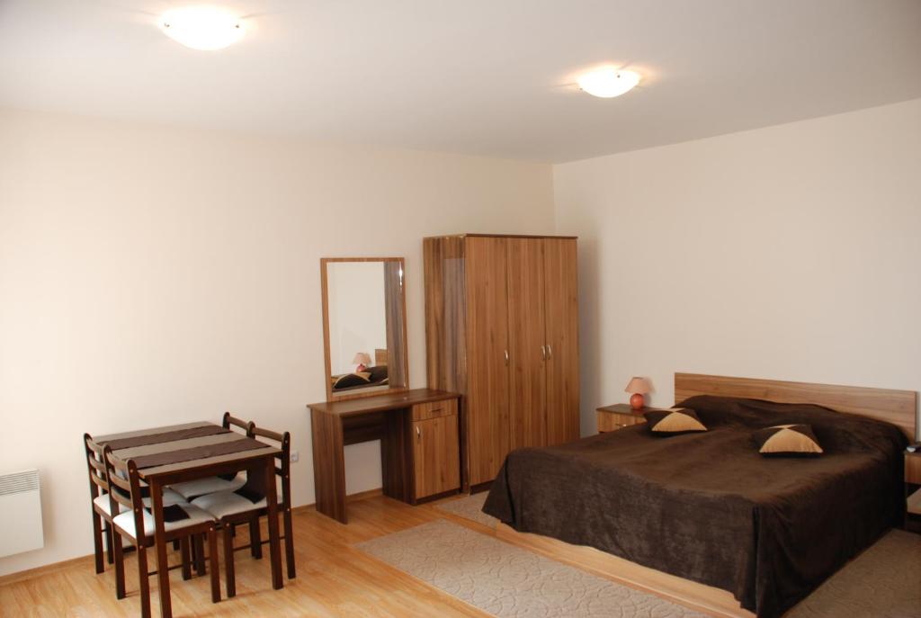 Pirin Palace White Apartments - 标准工作室