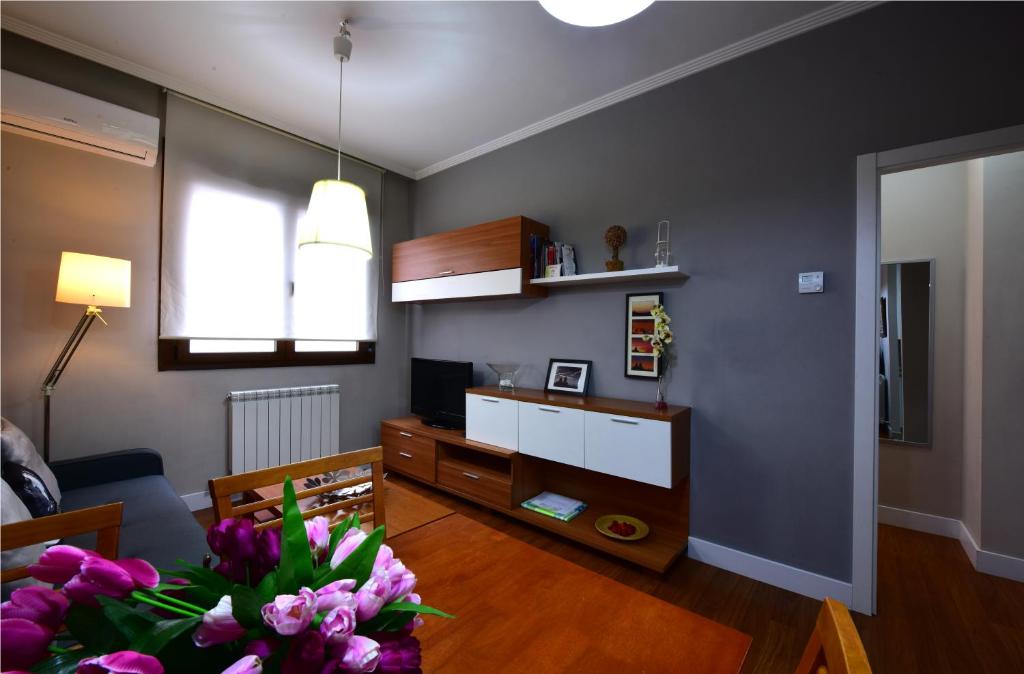 Salamanca Centro Apartamentos - Apartment