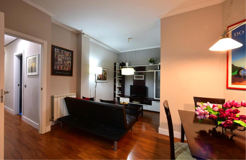 Salamanca Centro Apartamentos - Two-Bedroom Apartment