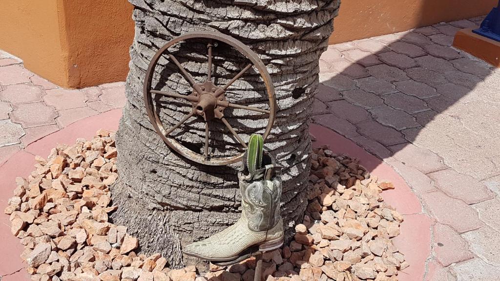 Fotografie z fotogalerie ubytování State Inn v destinaci Chihuahua