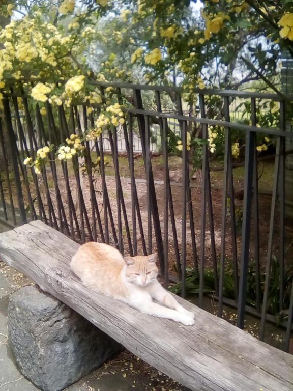 Fotografia z galérie ubytovania La Pietra Antica O' Munti v destinácii Puntalazzo