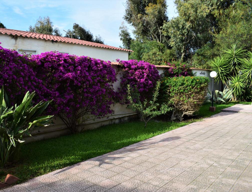 Zahrada ubytování Bedda Casa Al Mare