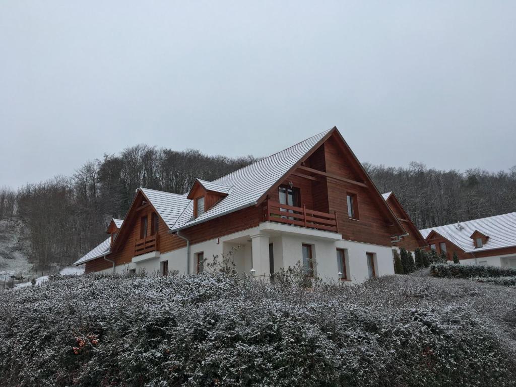 ein großes Holzhaus auf einem Hügel mit Schnee in der Unterkunft Villapark Z/3 appartman in Zalacsány