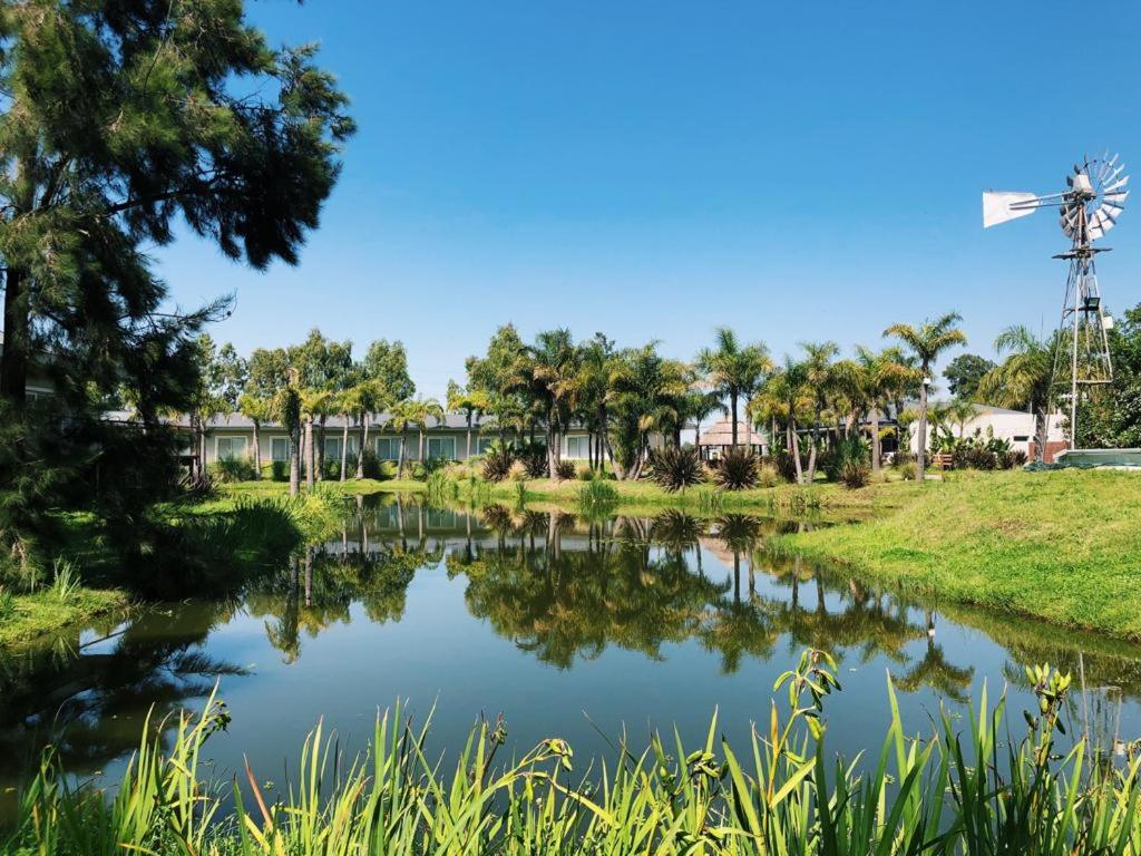 a pond with palm trees and a windmill at La Posada Multiespacios in Dique Luján