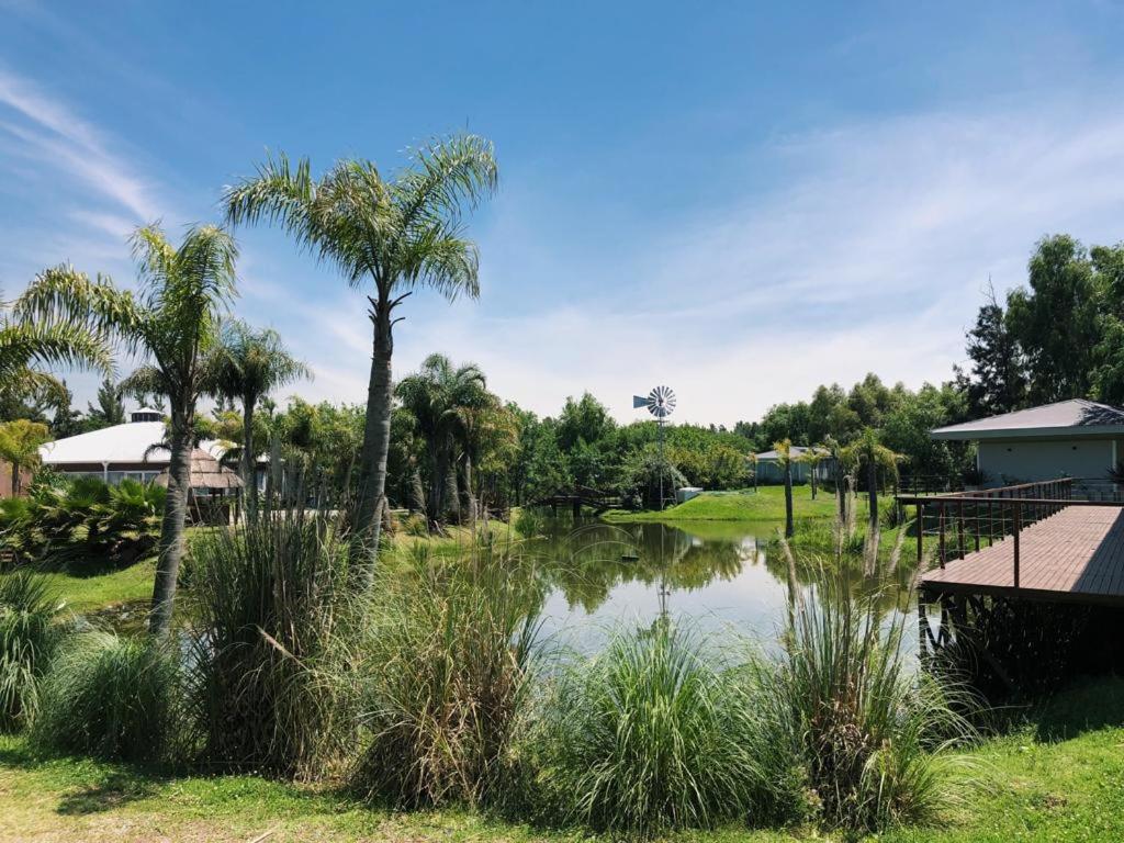a pond in a park with palm trees at La Posada Multiespacios in Dique Luján