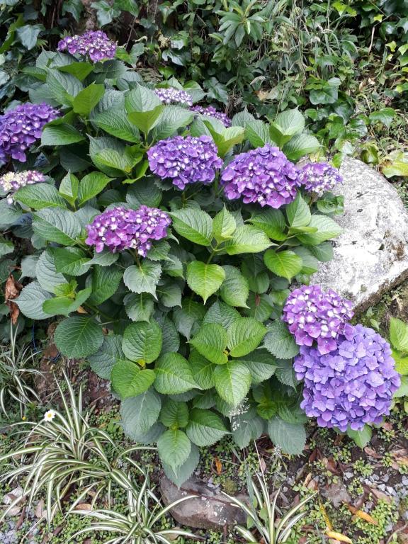  Suíte Conceito Gramado