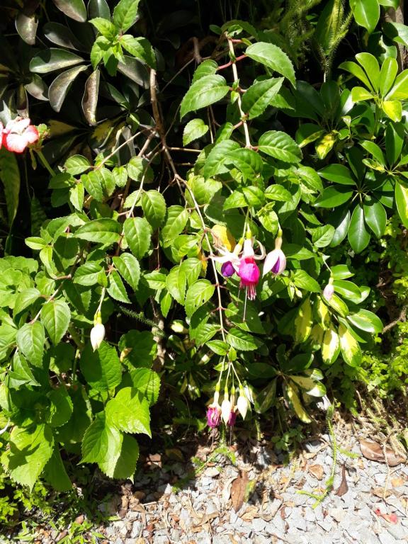  Suíte Conceito Gramado